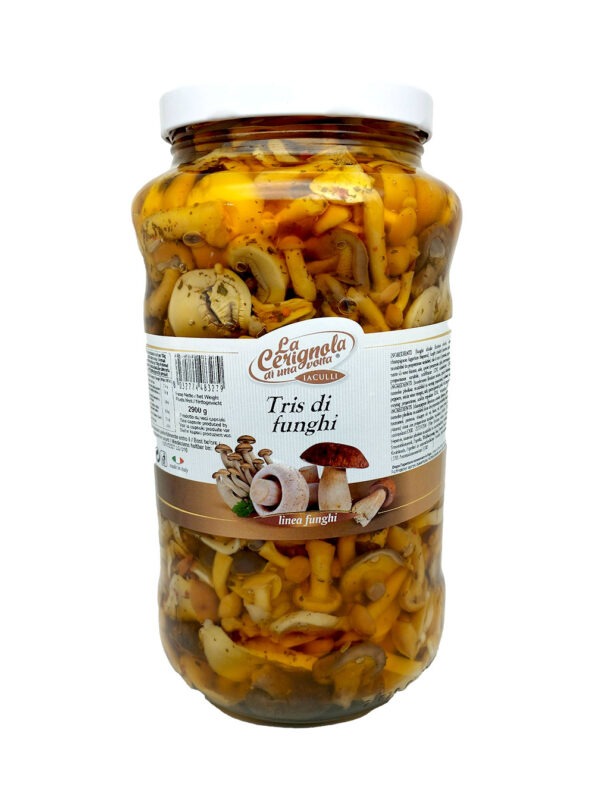 Tris di Funghi alla pizzaiola sottolio 2900 g - La Cerignola di una Volta - Antica Ricetta di Puglia prodotti tipici regionali