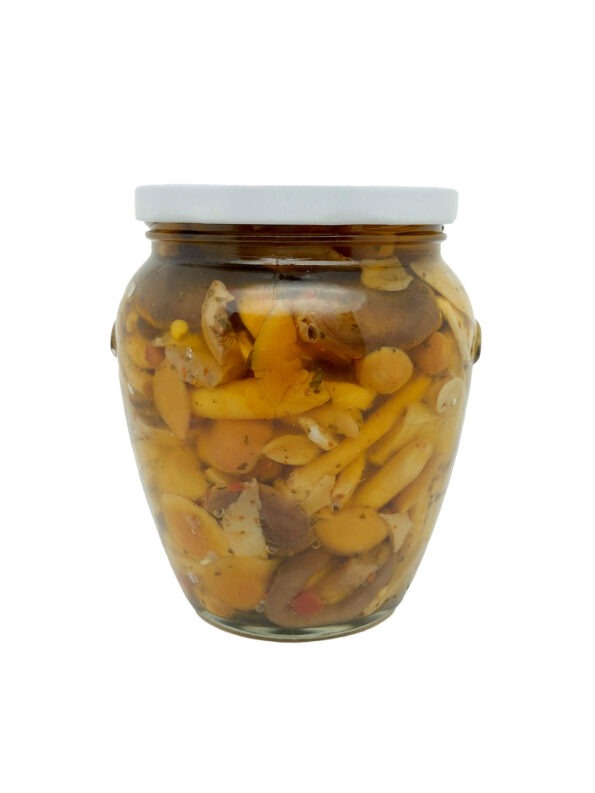 Tris di funghi alla pizzaiola sottolio - vasetto 550 g - La Cerignola di una Volta - Antica Ricetta di Puglia prodotti tipici regionali